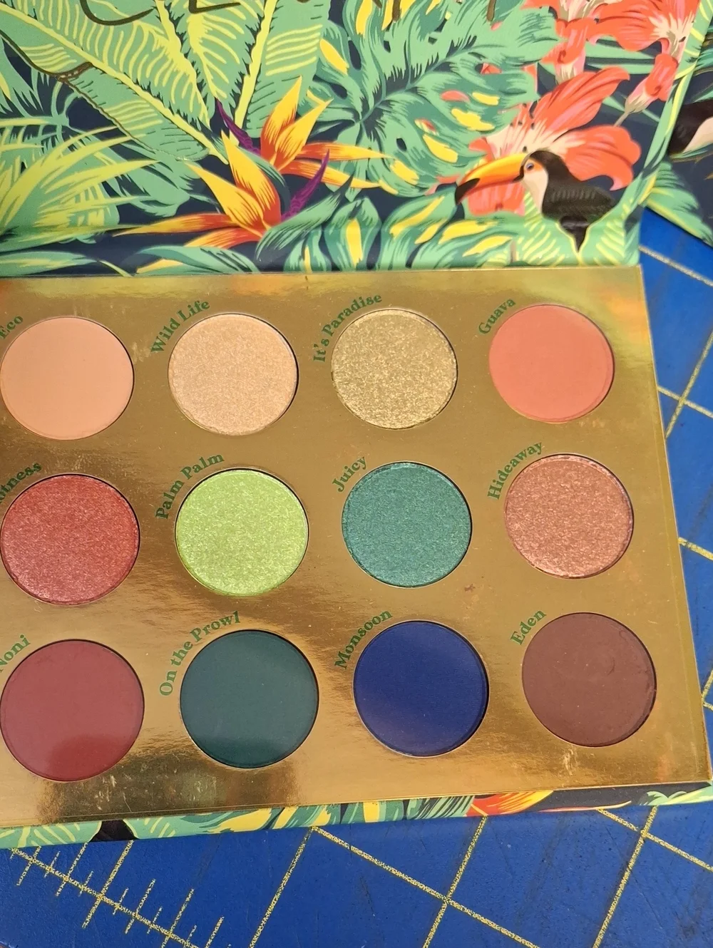ColourPop Lush Life  Eyeshadow 12 Color Palette New